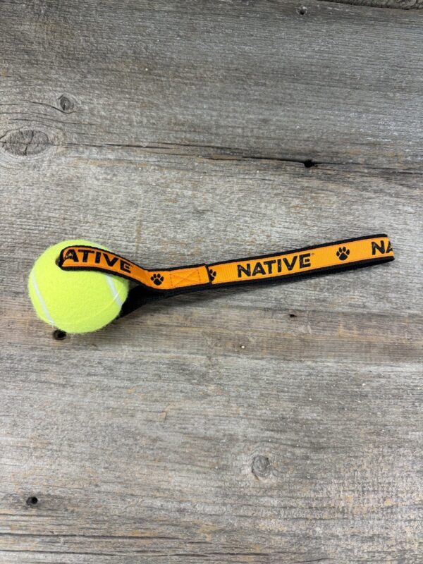 Native Tennis Ball Toy