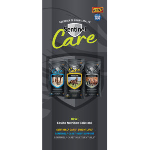 Sentinel Care Brochure