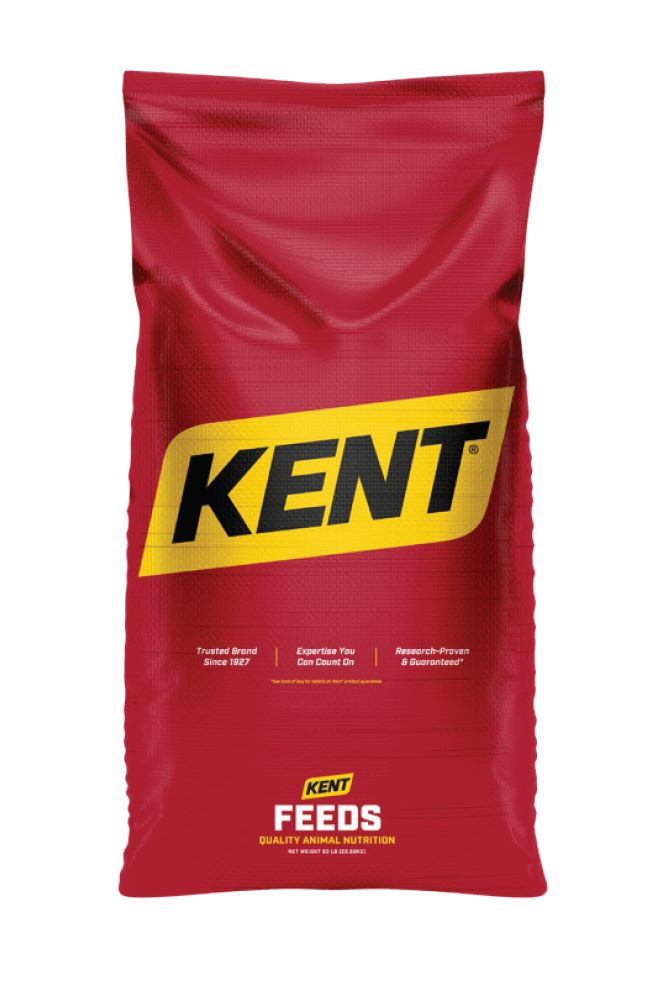 Cattle 15 Kent Feeds Kent Quality Beef KF KQB