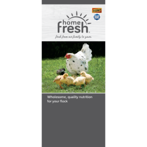 Home Fresh Poultry Brochure