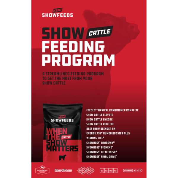 Kent Show Feeds Show Cattle Feeding Program Brochure