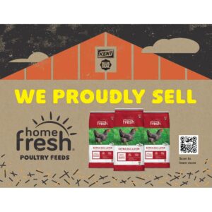 “We Proudly Sell” Mini Poster (Extra Egg Layer)