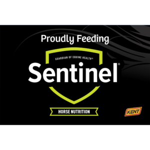 Sentinel Stall Banner