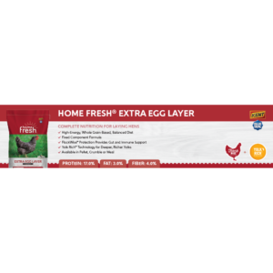 Home Fresh Extra Egg Layer Shelf Talker