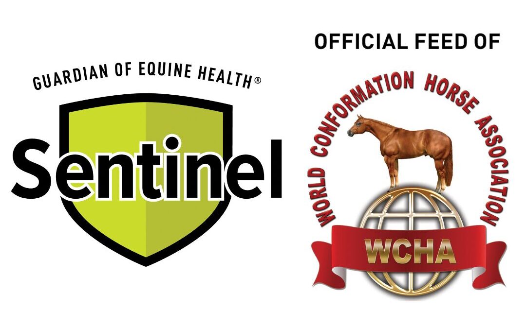 Sentinel Named Official Feed of the World Conformation Horse Association