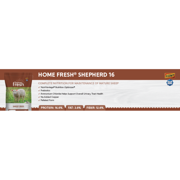 Home Fresh Shepherd 16 Shelf Talker