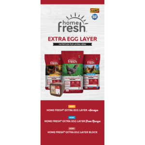 Home Fresh Extra Egg Layer Products Rack Card