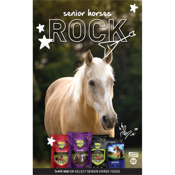 Senior Horses ROCK! Promotion Poster
