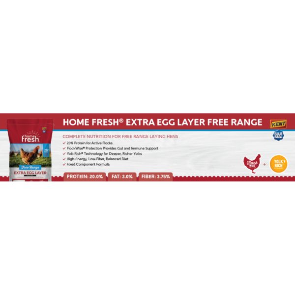 Home Fresh Extra Egg Layer Free Range Shelf Talker