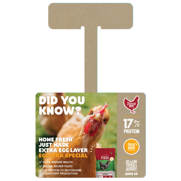 Home Fresh Extra Egg Layer DYK Wobbler