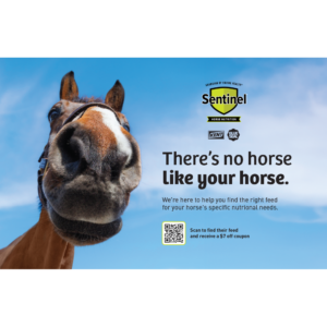 Sentinel “There’s No Horse Like Your Horse” Counter Mat Insert