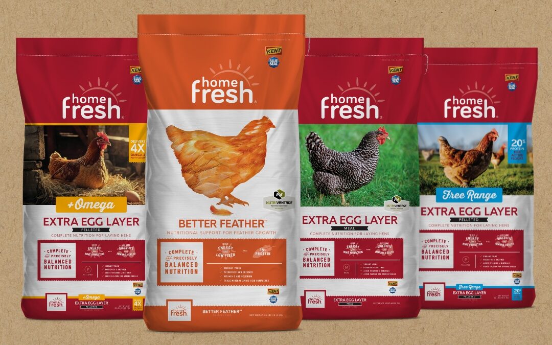 Great Pallets of Poultry Feed (East Only)