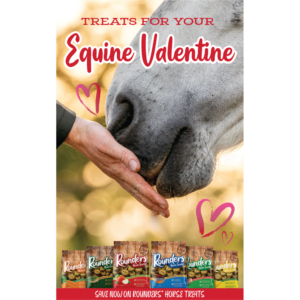 Treats for Your Equine Valentine Promotion Poster