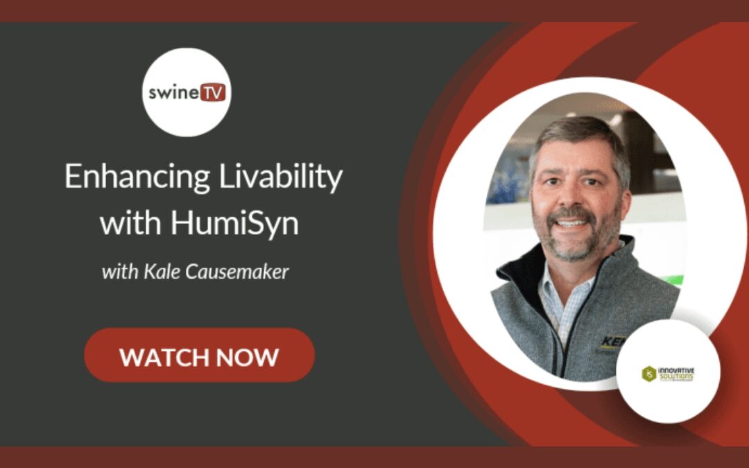New Swine Web Episode: Enhancing Livability with HumiSyn
