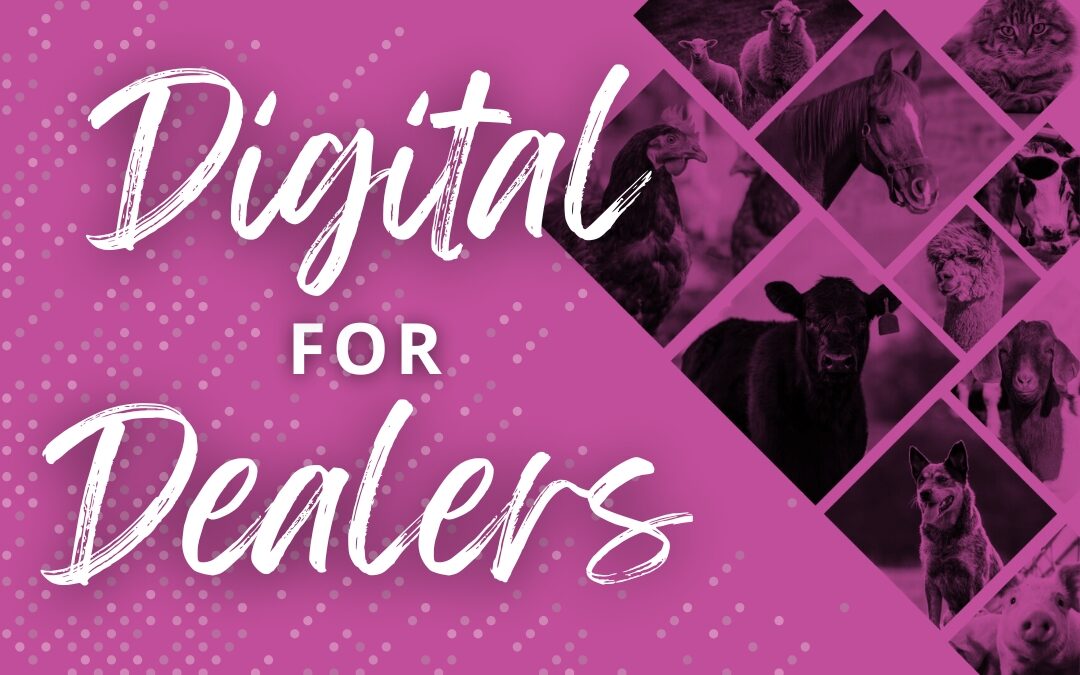 Digital for Dealers: Boosting a Social Media Post 🚀