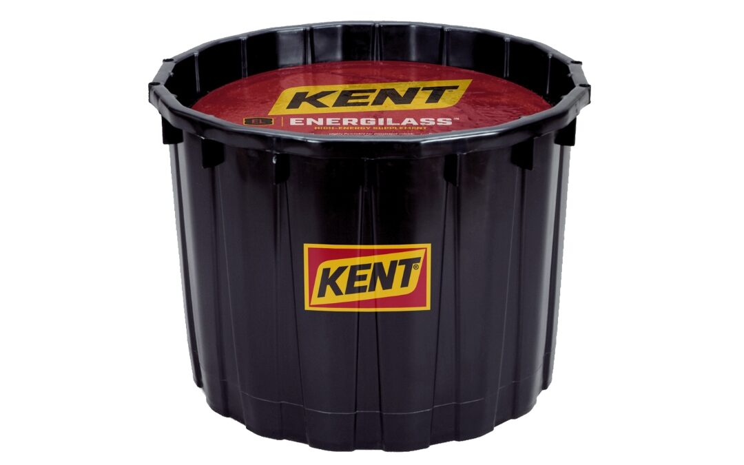 Kent Beef Product Spotlight