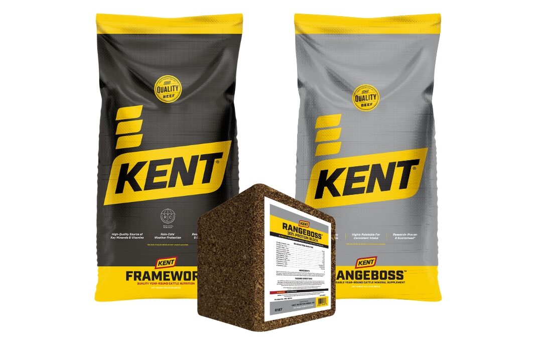 Spring Mineral Promotion