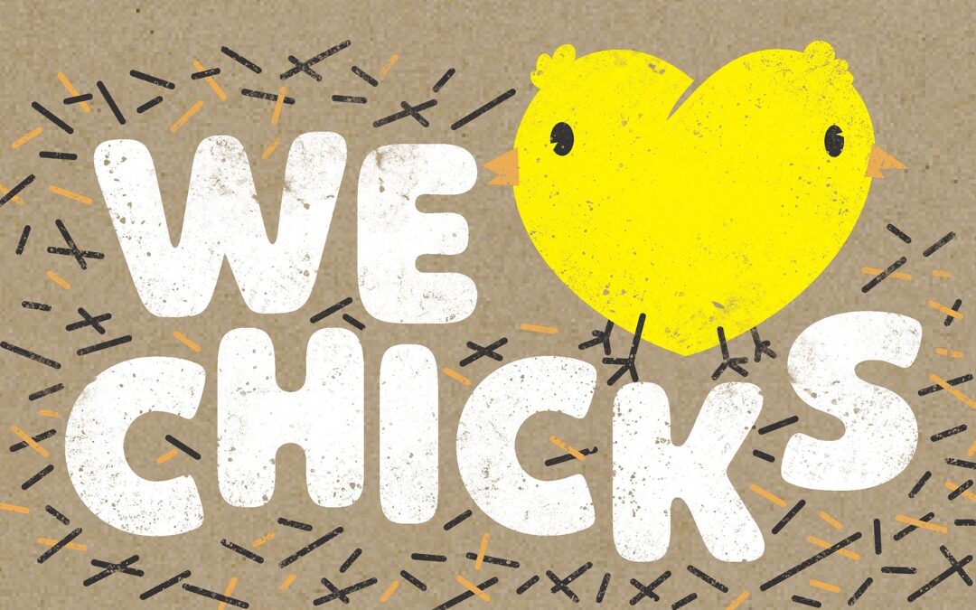 Chick Days