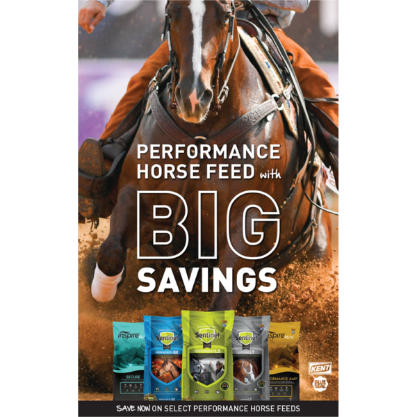 Performance Horse Feeds Promotion Poster
