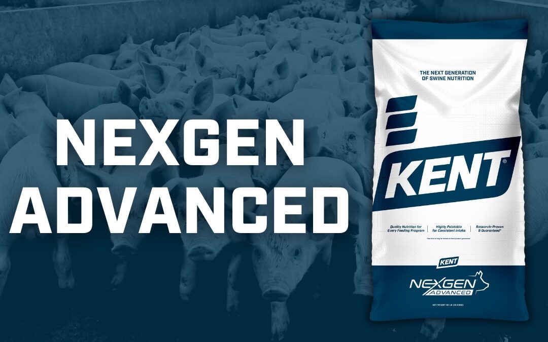 New Updated NexGen Advanced Starter Program