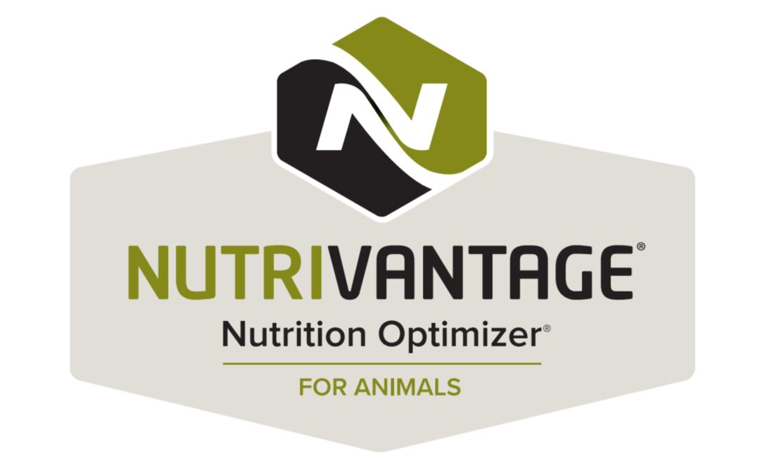 Play it Cool with NutriVantage Promotion