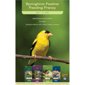 Springtime Feather Feeding Frenzy Promotion Poster