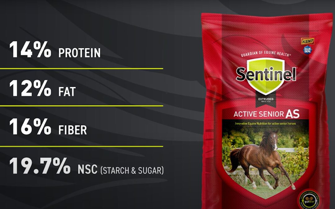 Introducing Sentinel Product Training Videos