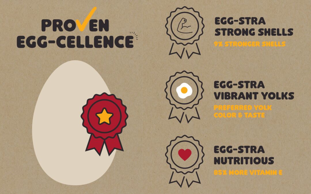 🐔 Home Fresh Extra Egg Layer: Proven Egg-Cellence Campaign Launching This July!