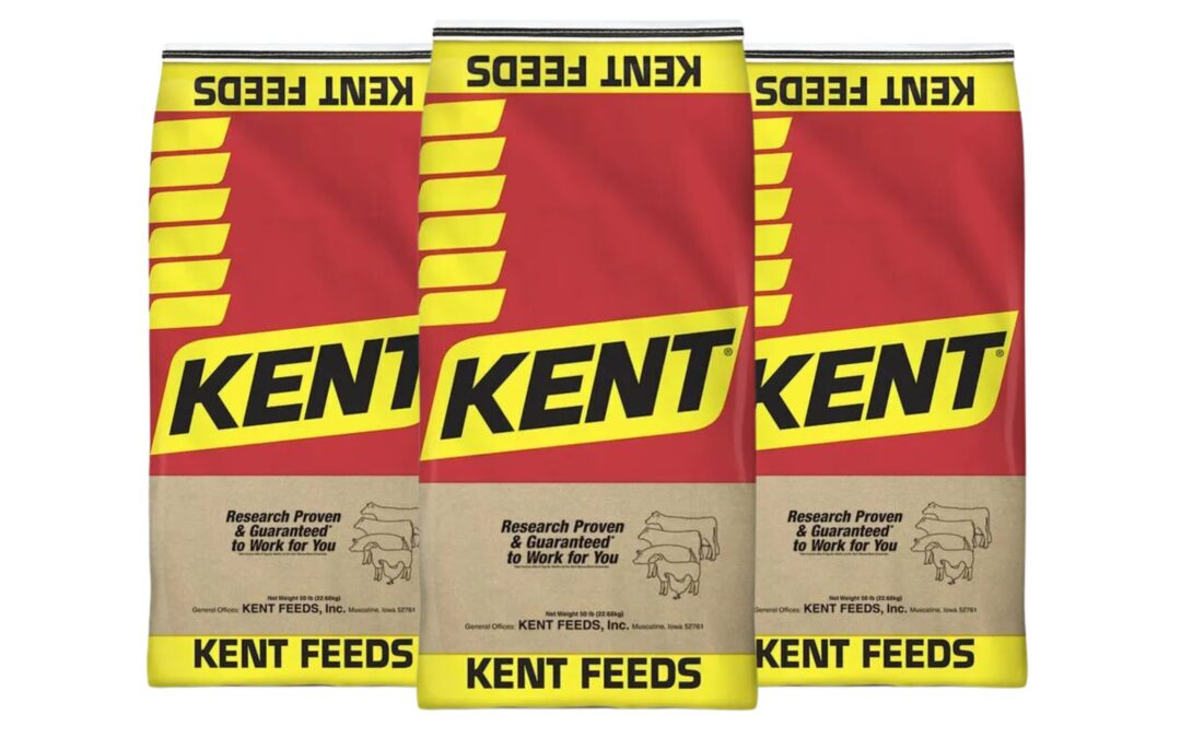 Product Spotlight: 1904 Kent Performance Primer