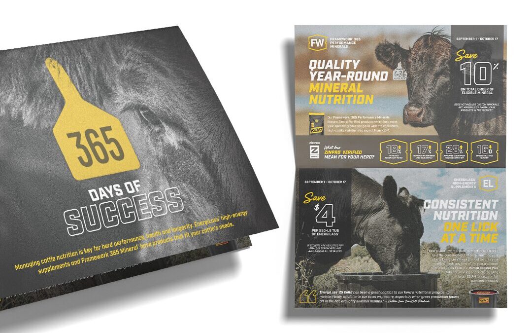 Beef Promotion Mailer Sneak Peak