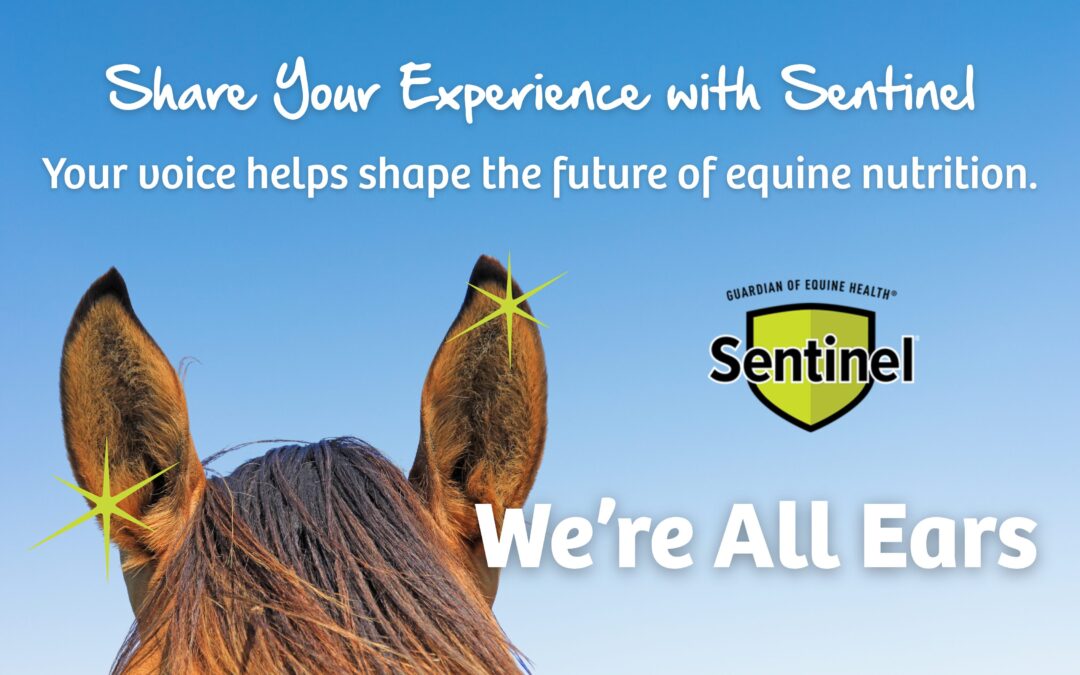 Spotlight Your Customers and Dealership