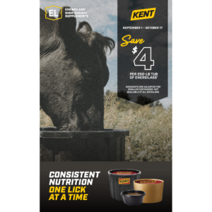 Fall EnergiLass Promotion Poster