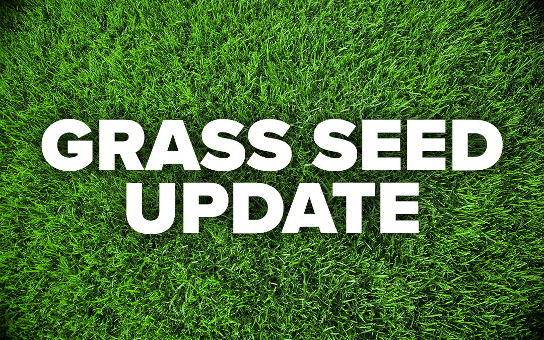 🌱 Grass Seed Update – Final Season