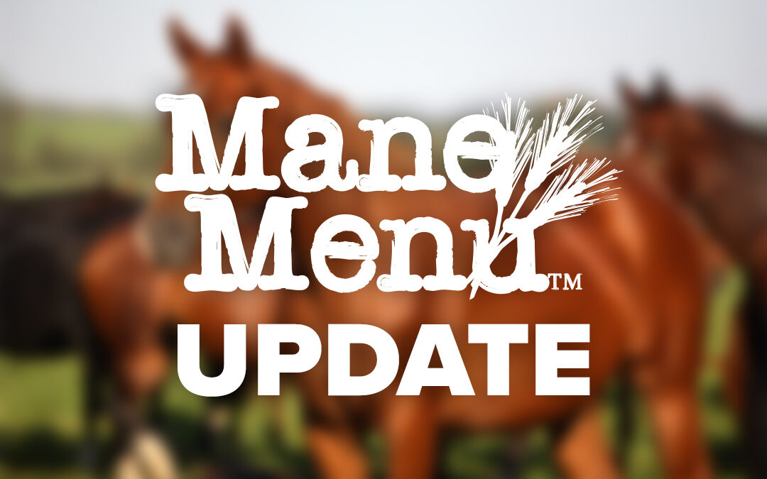 Mane Menu Horse Feed Update: Product Transition in the East