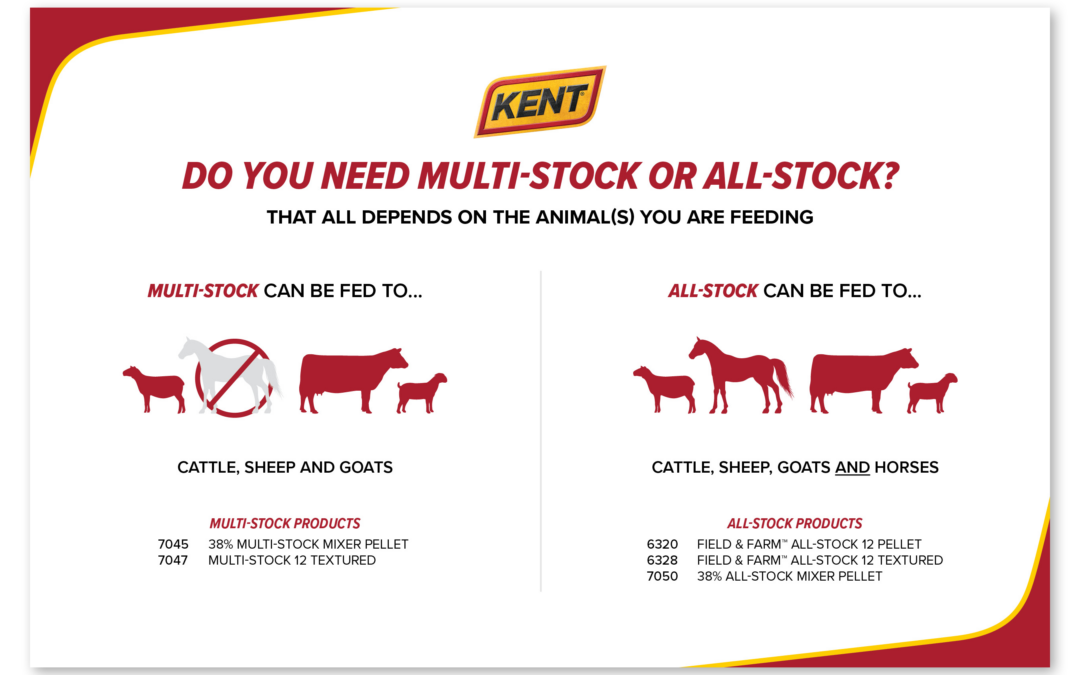 Marketing Material for Midwest All-Stock Product Updates