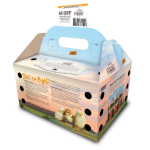 Home Fresh Live Baby Chick Boxes