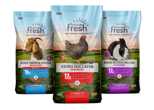 Home Fresh Refresh Keeps On Rolling!