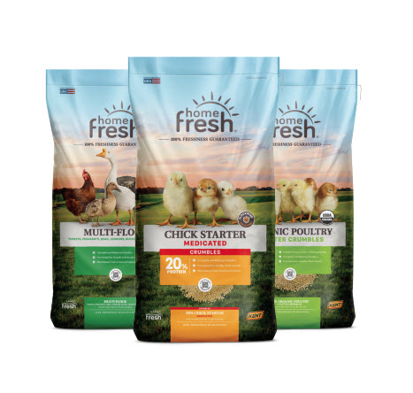 HOORAY FOR CHICK DAYS!