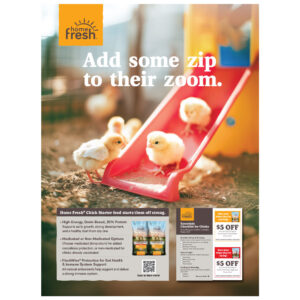 Home Fresh Poultry Large Display Poster