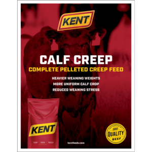 Calf Creep Poster