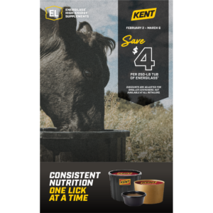 Spring Energilass Promotion Poster