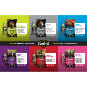 Sentinel 3.0 Extruded Transition Counter Mat Insert Sentinel 3.0 Extruded Transition Counter Mat Insert