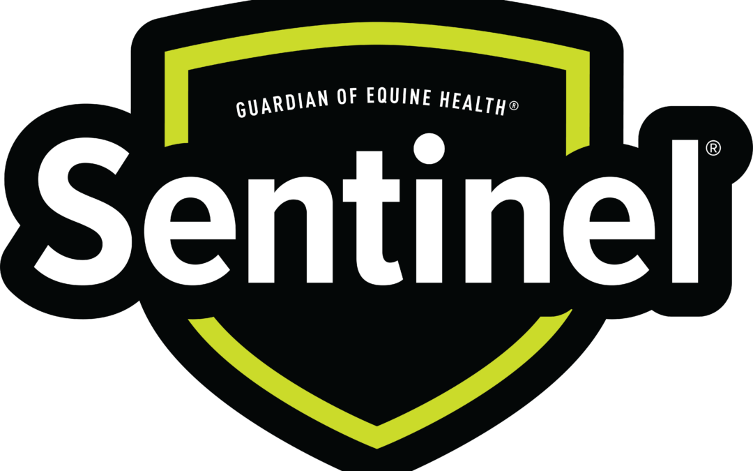 Sentinel 3.0: What’s New and What’s Coming Next