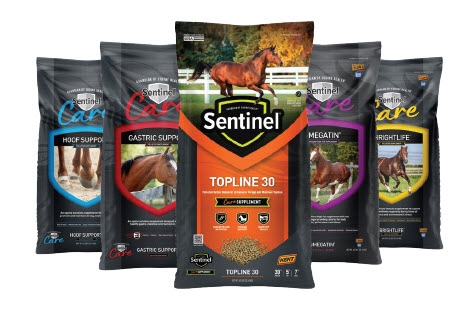 Spring Forward with Sentinel Care Supplements