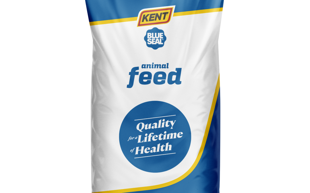 CHECK OUT OUR NEW LOOK!