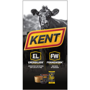 Framework & Energilass Vertical Banner