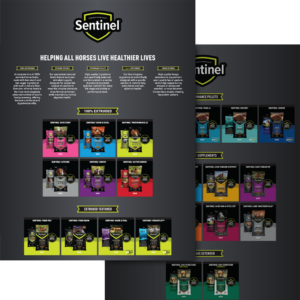 Sentinel 3.0 Transition Poster
