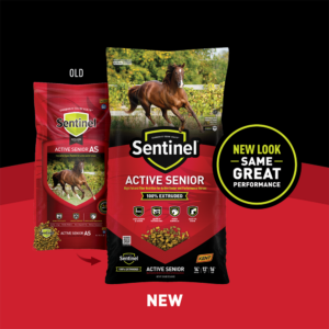 Sentinel Active Senior Transition Shelf Card Sentinel Active Senior Transition Shelf Card