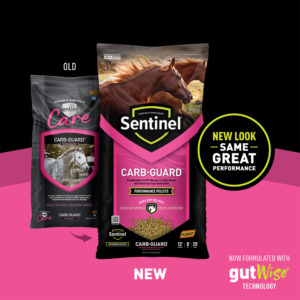 Sentinel Carb-Guard Transition Shelf Card Sentinel Carb-Guard Transition Shelf Card