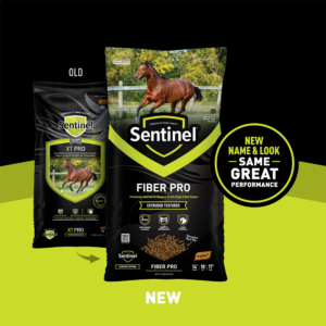 Sentinel Fiber Pro Transition Shelf Card Sentinel Fiber Pro Transition Shelf Card